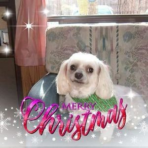 Meet your Posher, Edith